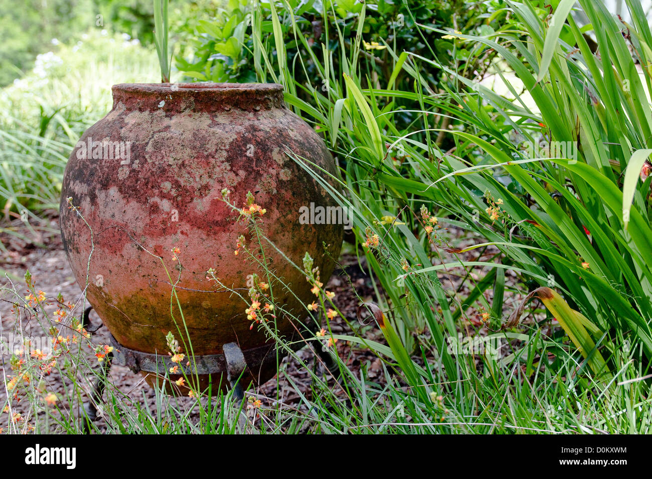 L'arrière par l'entrée de la forêt de pins, à tour Bok dans Lake Wales, en Floride. Banque D'Images