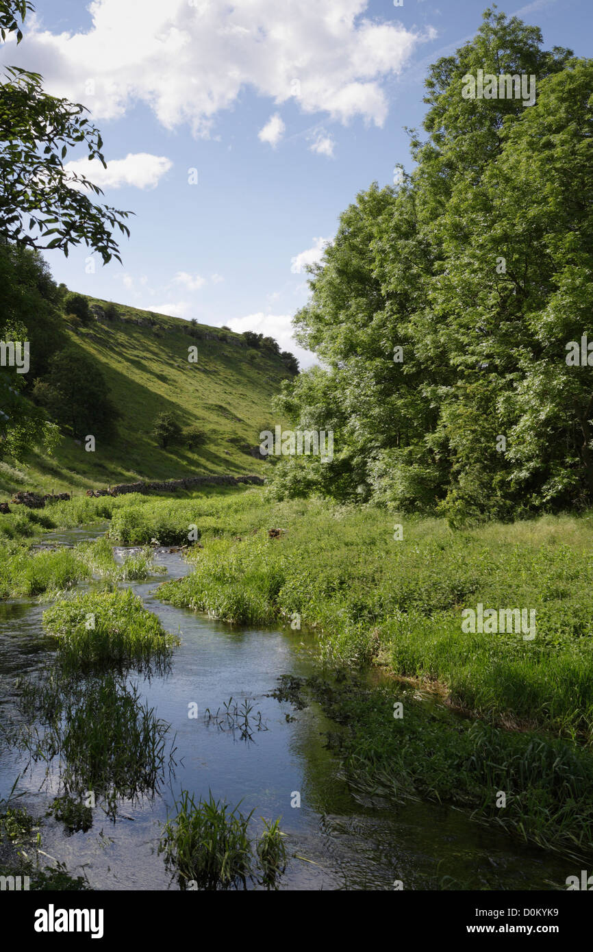 River Lathkill Dale, Derbyshire Peak District National Park Angleterre Royaume-Uni Banque D'Images