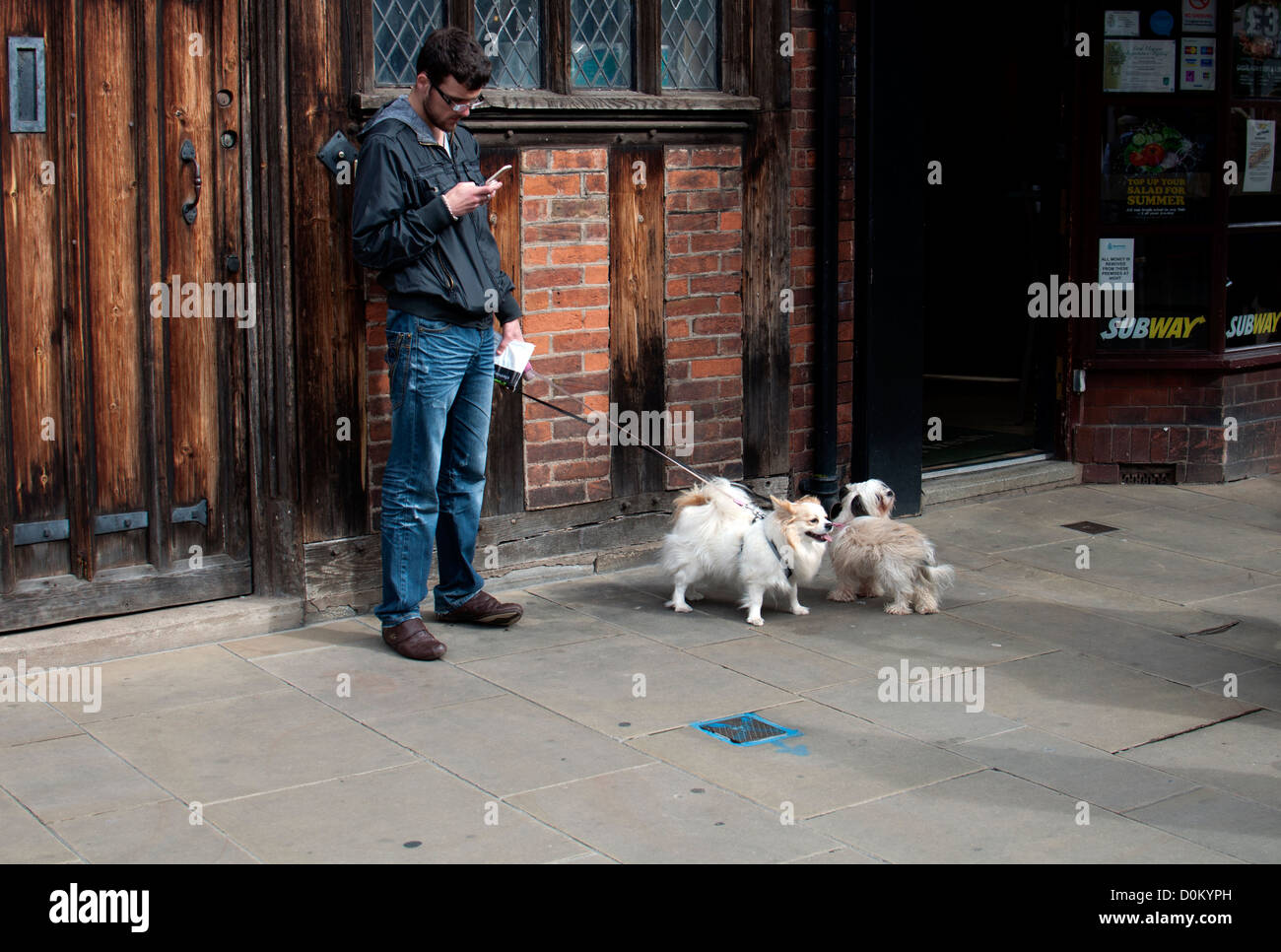 L'homme avec deux chiens l'envoi de message texte Banque D'Images