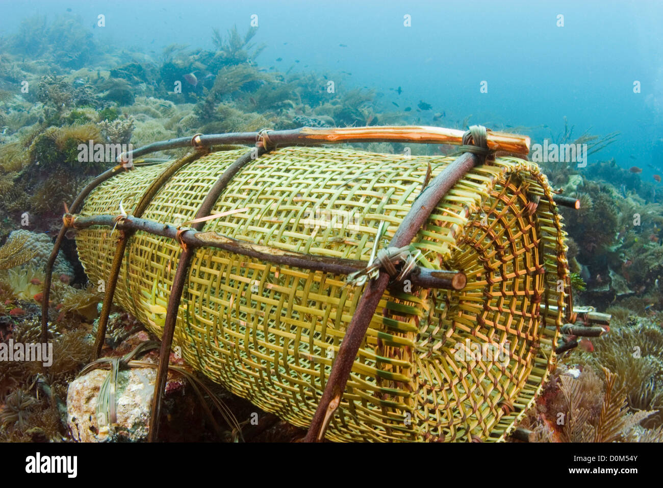 Vue D'un Artisan Vietnamien Fabriquant Le Piège à Poissons Traditionnel Bambou Tissage Dans Ancienne Maison Traditionnelle Du Village Commercial Thu Sy Hung Yen Vietnam 134375213