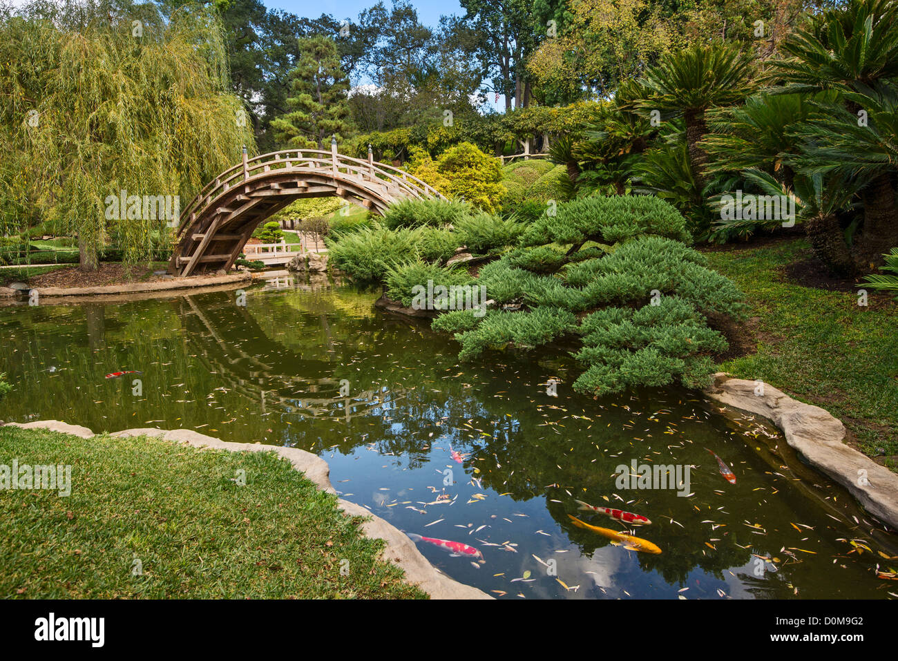 Le magnifiquement rénové de jardins japonais à la bibliothèque Huntington et les jardins botaniques. Banque D'Images