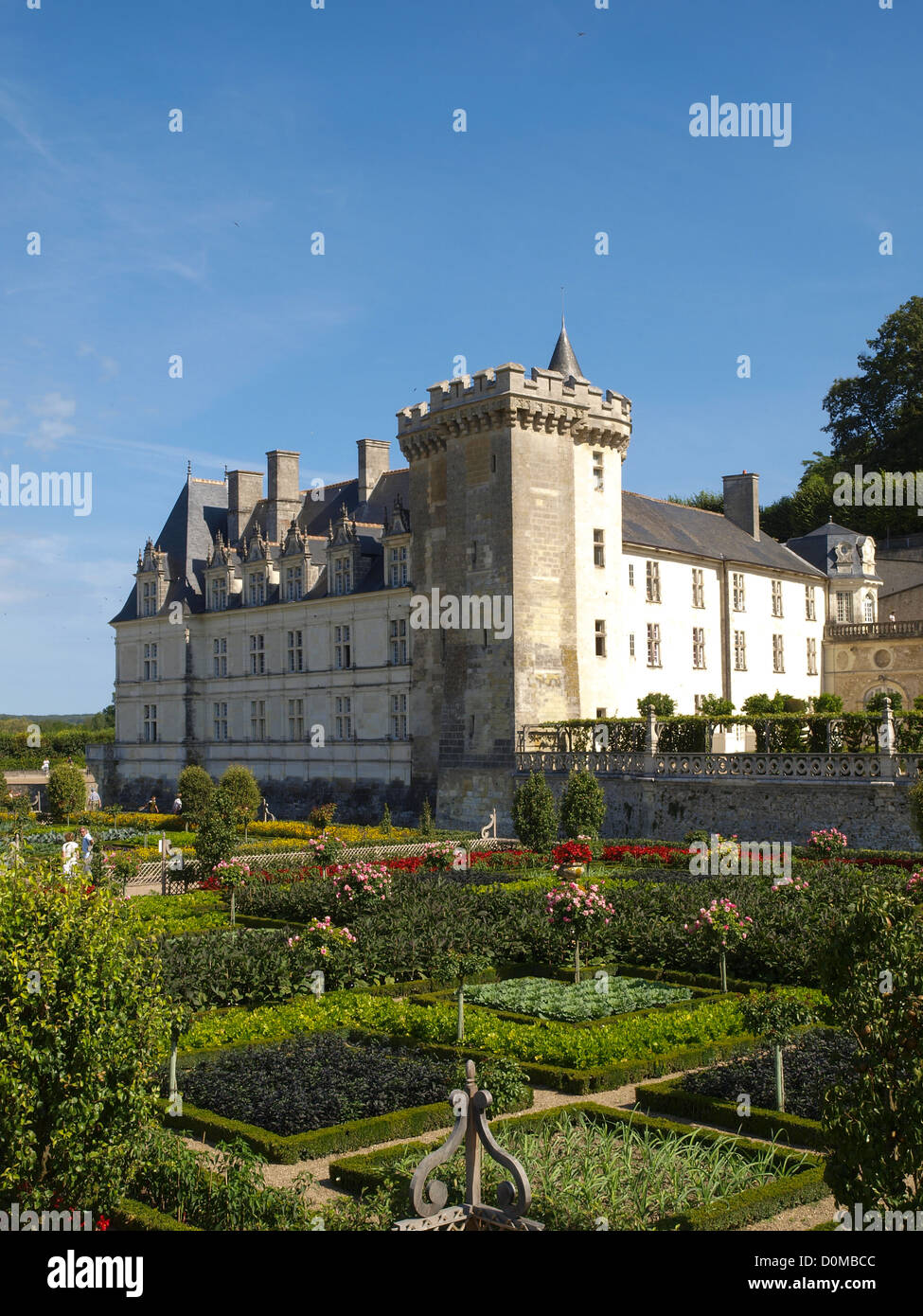 Chateau et Jardins de Villandry, Indre-et-Loire, jardin historique, France, vallée de la Loire, Villandry Banque D'Images