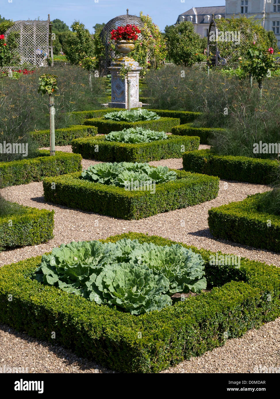 Chateau et Jardins de Villandry, Indre-et-Loire, jardin historique, France, vallée de la Loire, Villandry Banque D'Images