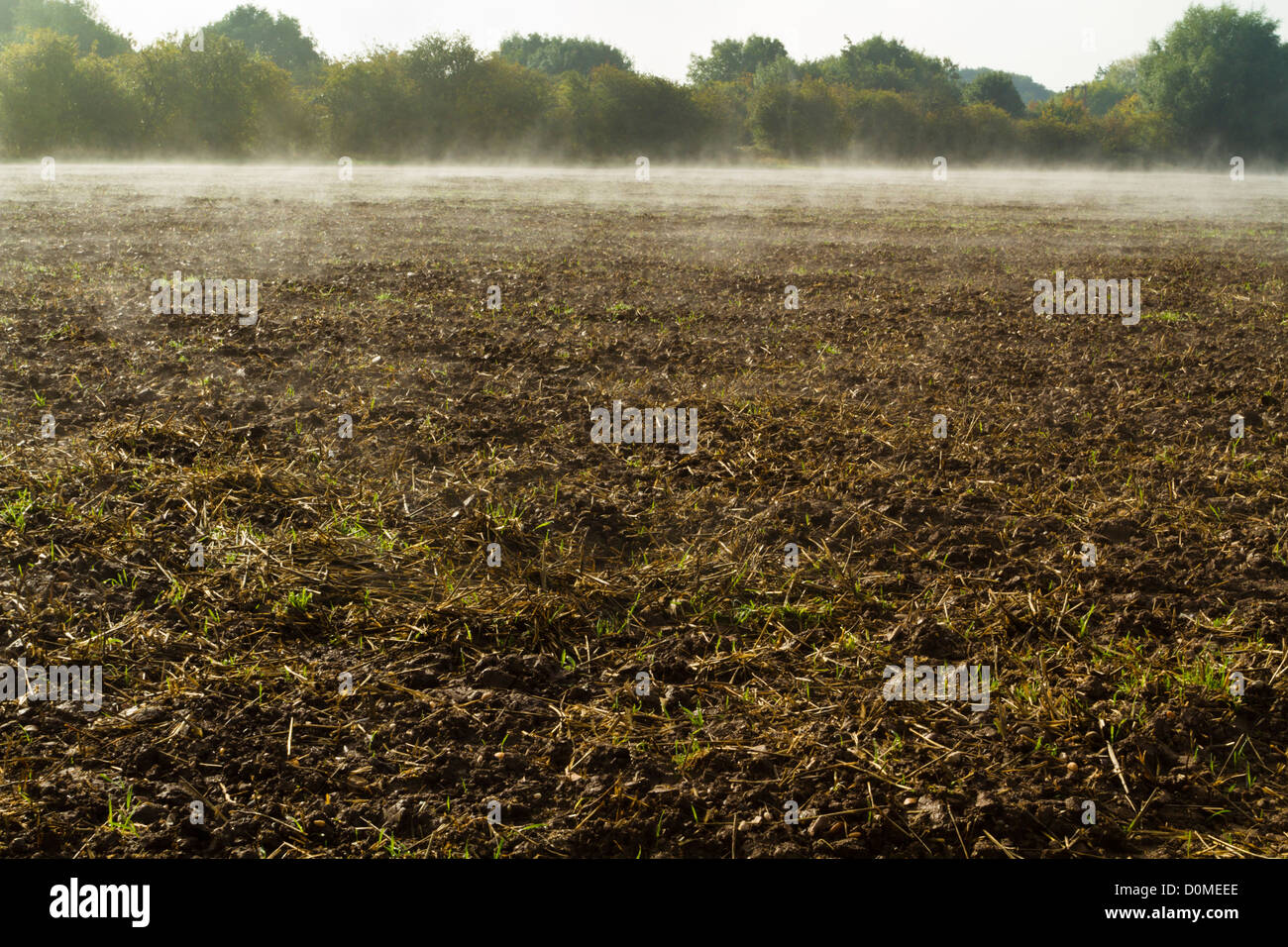 L'augmentation de la vapeur d'une récolte récente et pluie champ comme lumière du soleil chaude brise les nuages, Lancashire, England, UK Banque D'Images