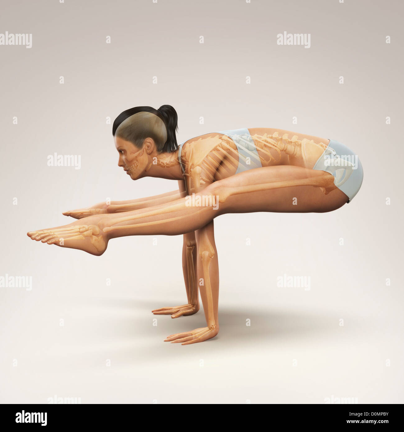 Le skeleton en couches sur un corps de femme dans le squelette montrant firefly posent l'alignement de cette posture de yoga. Banque D'Images