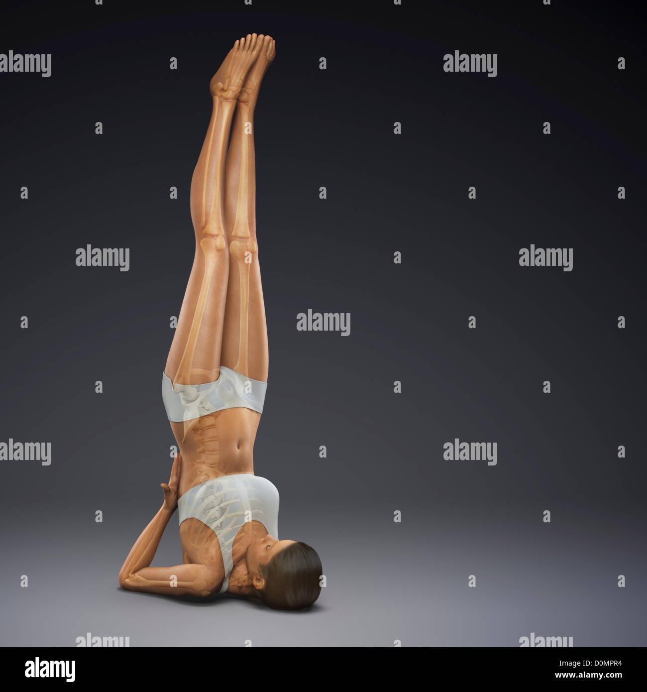 Le skeleton en couches sur un corps de femme en position d'épaule poser