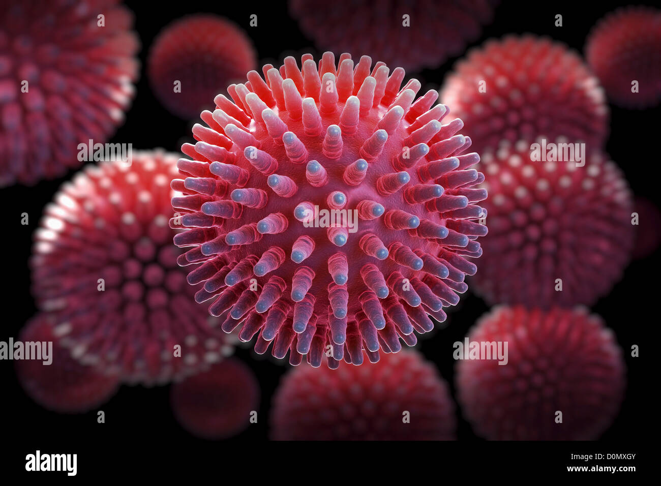 Des grappes de H1N1 Particules de virus. Banque D'Images