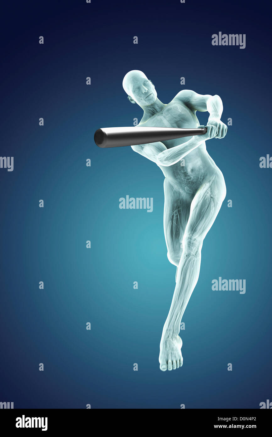 La figure masculine balancer une batte de baseball. L'anatomie interne est visible dans l'organisme. Banque D'Images
