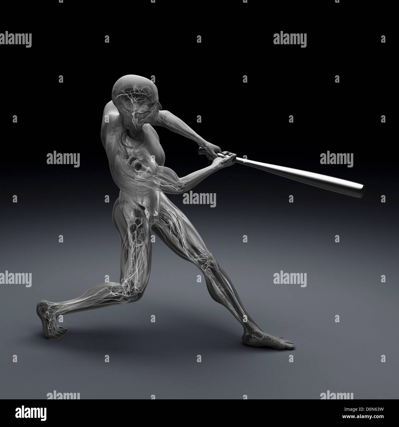 La figure masculine balancer une batte de baseball. L'anatomie interne est visible dans l'organisme. Banque D'Images