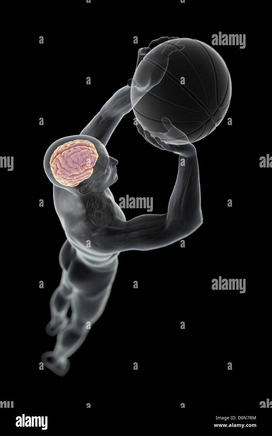 La figure masculine de basket-ball avec un saut sur le point de prendre un coup. L'anatomie interne du cerveau est visible à l'intérieur de la tête. Banque D'Images