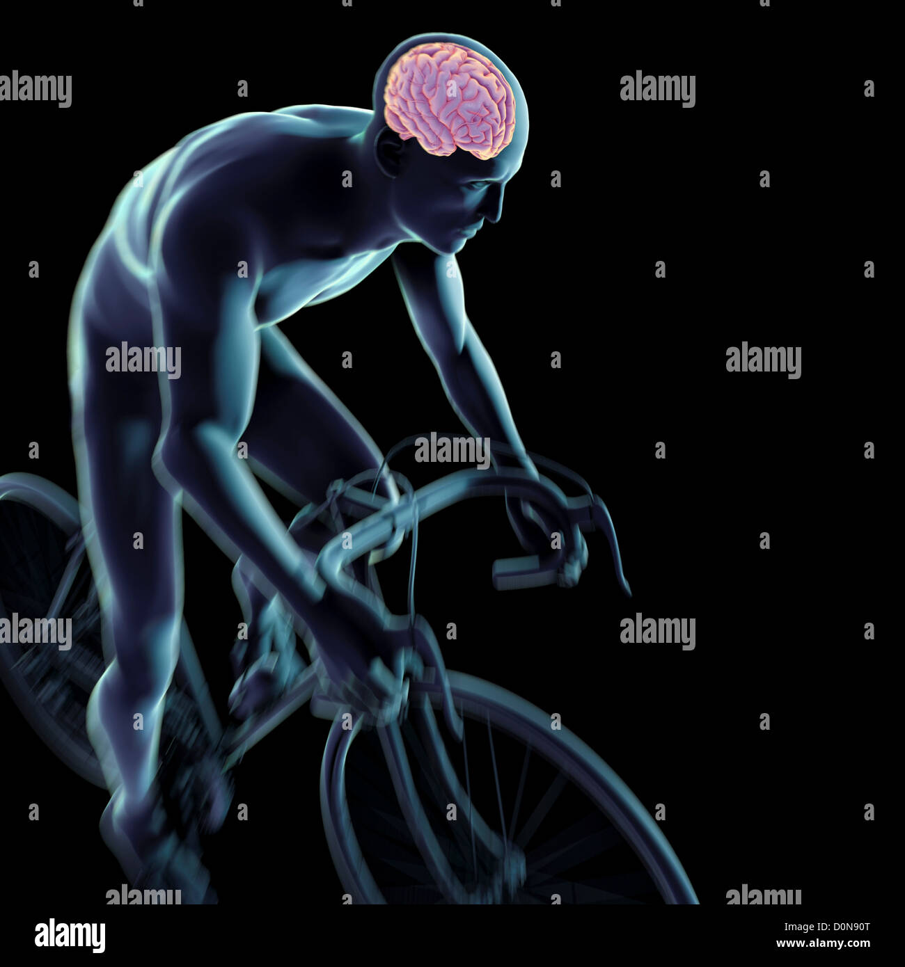 La figure masculine du vélo un vélo avec anatomie interne du cerveau visible dans la tête. Banque D'Images