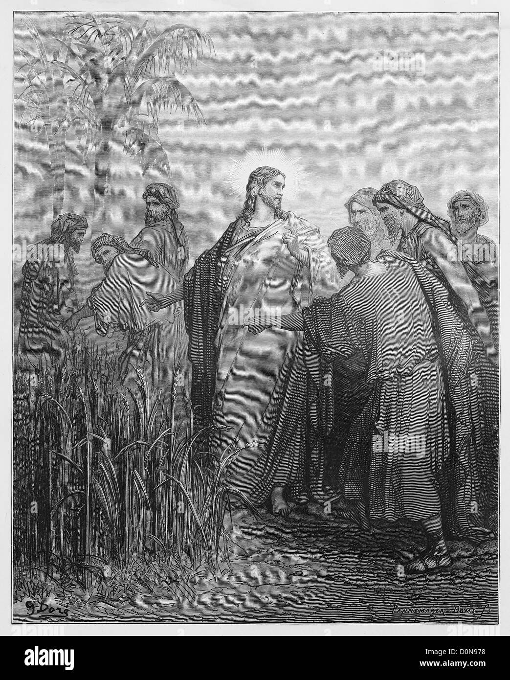 Jésus dit aux disciples qu'ils peuvent se procurer le maïs Banque D'Images