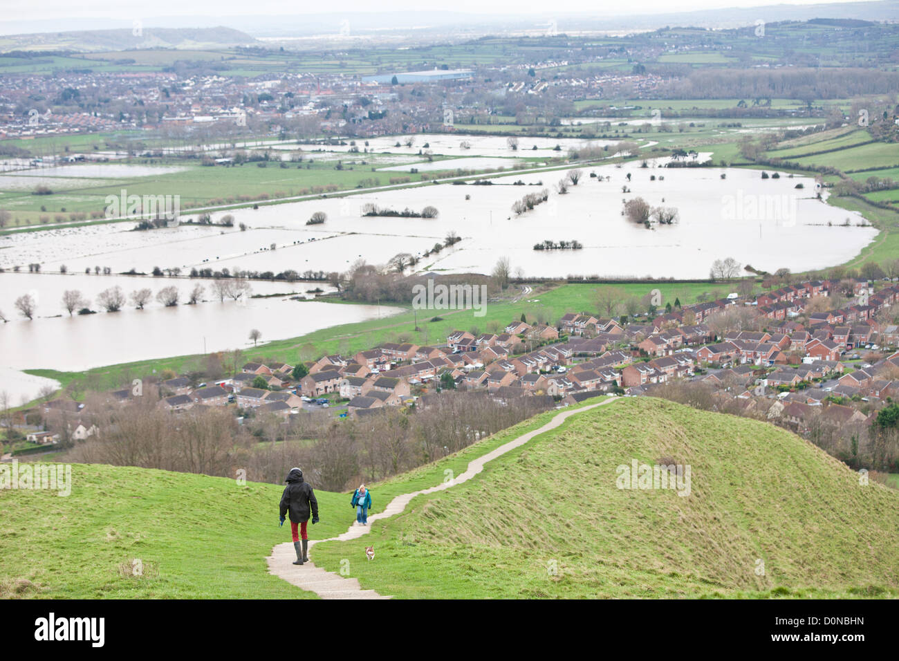 Glastonbury, United Kingdom-November 27e. Chien femelle Walker et les touristes en chemin sur Glastonbury Tor.l'eau d'inondation dans les champs entourant le Tor de Glastonbury sur Somerset Levels. Photographie prise à partir des Tor de Glastonbury, Glastonbury, Somerset, Angleterre. Banque D'Images