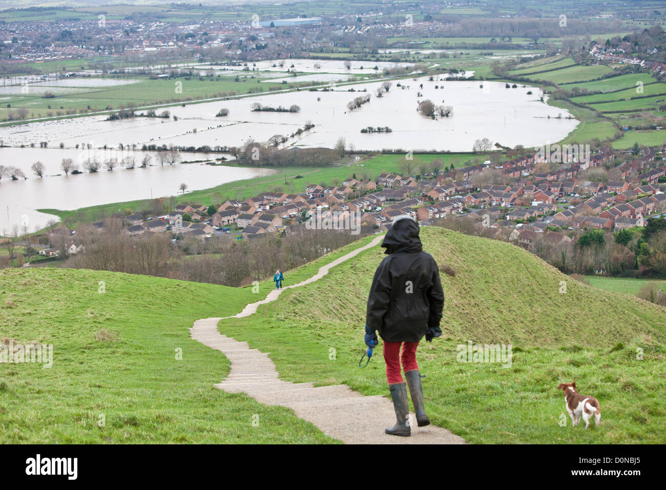 Glastonbury, United Kingdom-November 27e. Chien femelle Walker et les touristes en chemin sur Glastonbury Tor.l'eau d'inondation dans les champs entourant le Tor de Glastonbury sur Somerset Levels. Photographie prise à partir des Tor de Glastonbury, Glastonbury, Somerset, Angleterre. Banque D'Images