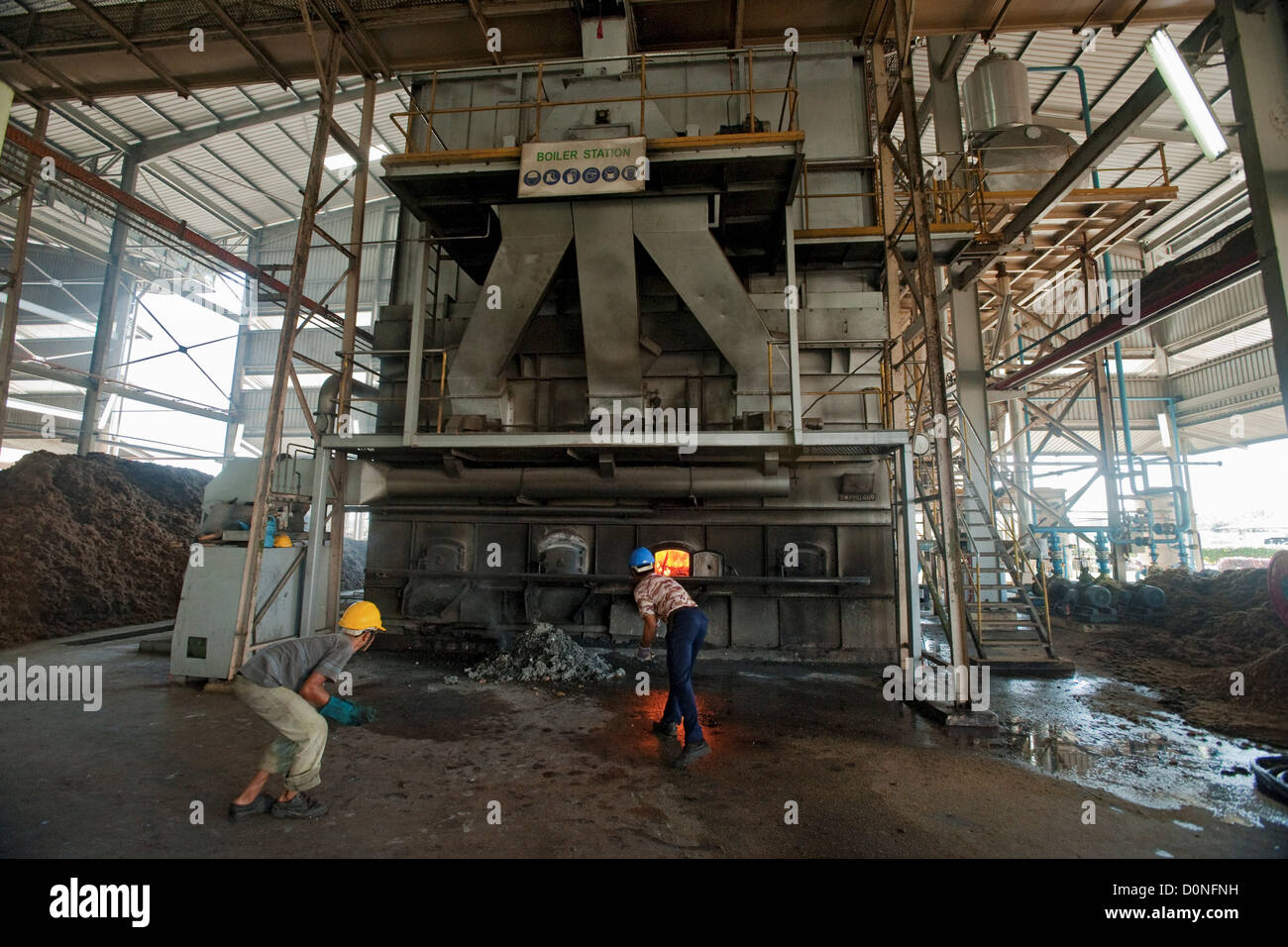 L'alimentation de chaudières chaudière les travailleurs des usines de transformation de l'huile de palme en Malaisie Sarawak Bintulu. Le palmier à huile est cultivé commercialement produire Banque D'Images