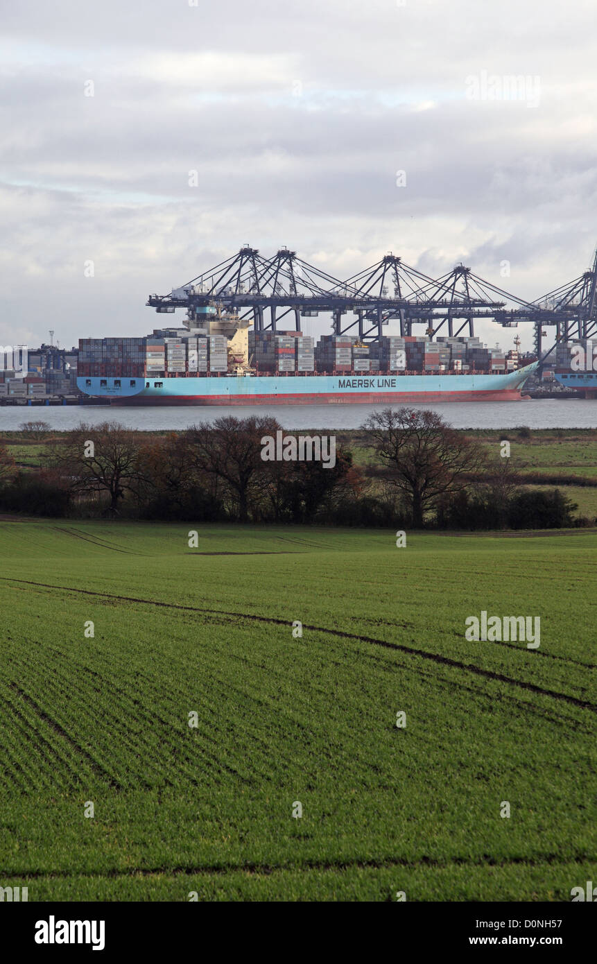 Voir à travers champs vers des navires porte-conteneurs chargement au port de Felixstowe, Suffolk, le plus grand port de conteneurs Banque D'Images