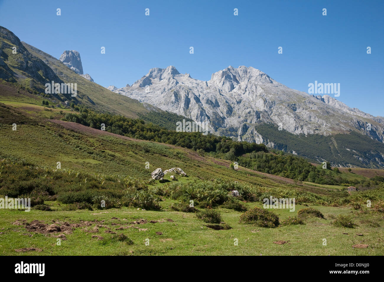 Paysage pastoral, Vega de las Cuerres - Parc National Picos de Europa, la cordillère Cantabrique, les Asturies, Espagne Banque D'Images