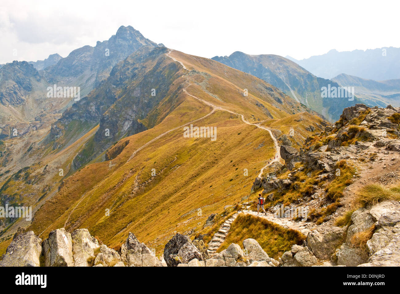 Vue de Kasprowy wierch en montagnes Tatras, Pologne Banque D'Images