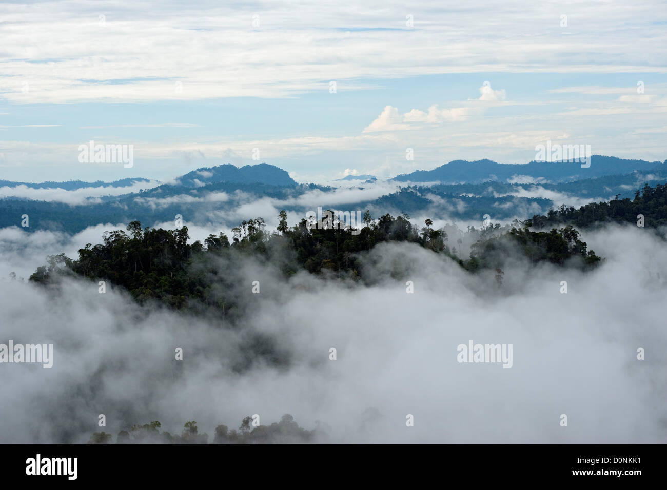 Couvert forestier avec la gamme Brassey derrière, Sabah, Bornéo, Malaisie Orientale. Banque D'Images