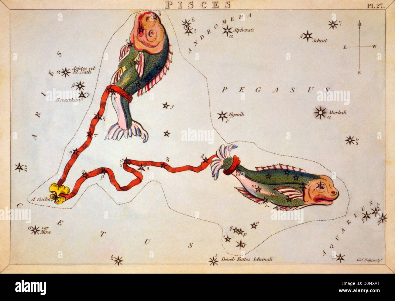 Carte de la constellation des Poissons Banque D'Images