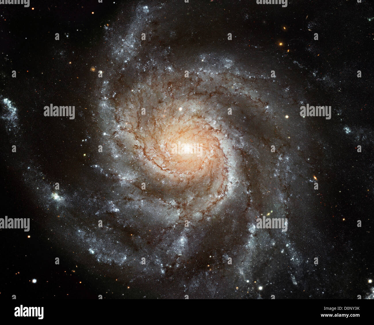 La gigantesque Galaxie Pinwheel Banque D'Images