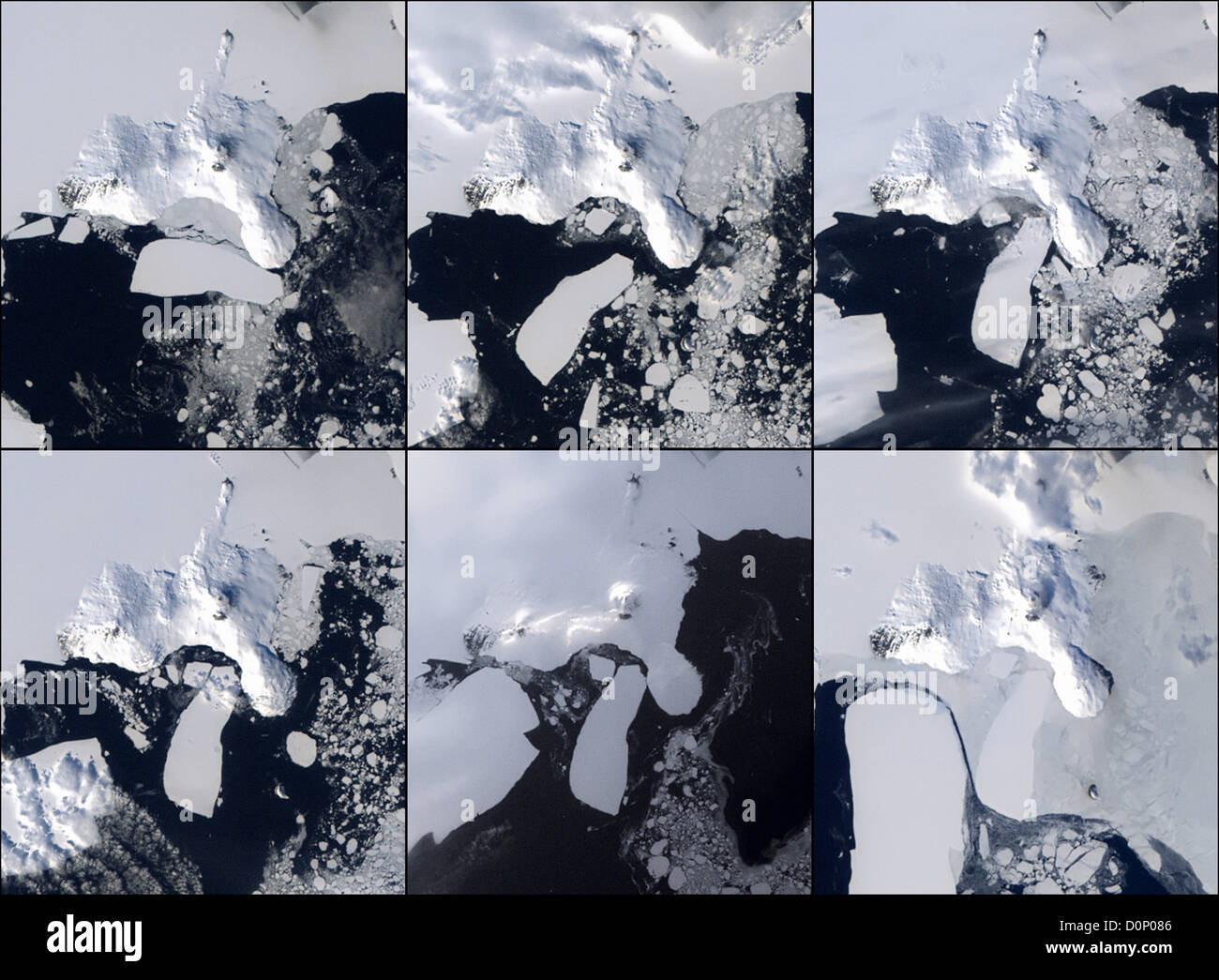 Les icebergs mettent en danger les Pingouins Banque D'Images