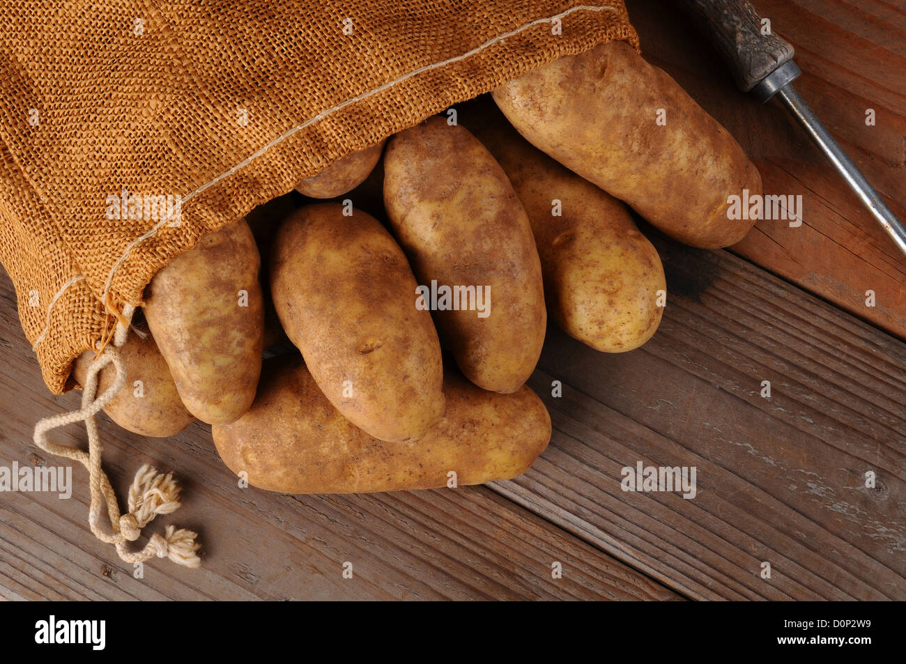 Une vue aérienne d'une toile sac de pommes de terre sur un fond de bois rustique. Format horizontal avec l'exemplaire de l'espace. Banque D'Images