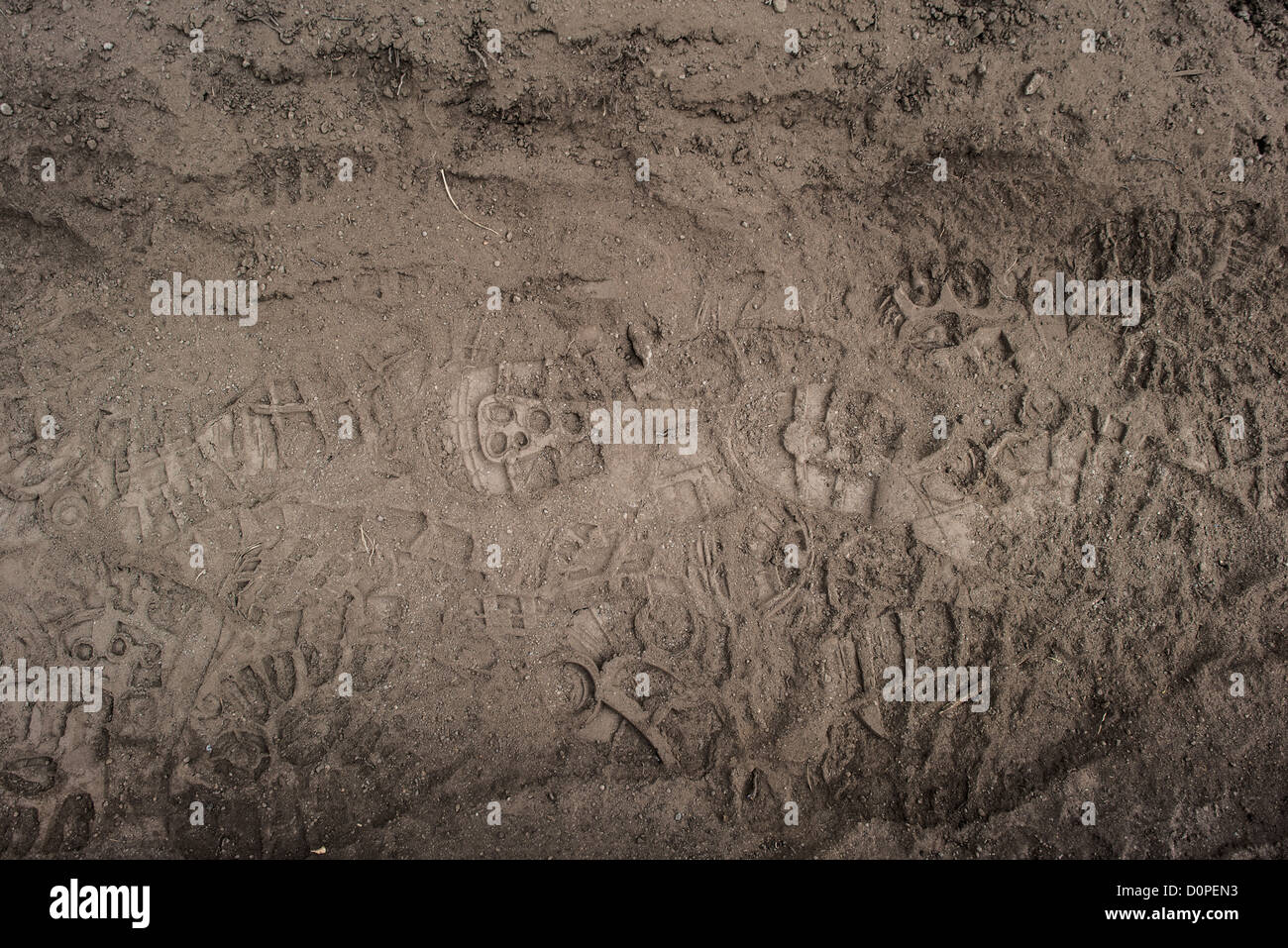 MONT KILIMANDJARO, Tanzanie — les empreintes de bottes des randonneurs sont clairement marquées dans l'épaisse saleté brune de la route Lemosho du Mont Kilimandjaro. La route de Lemosho est largement considérée comme l'une des approches les plus pittoresques du plus haut sommet d'Afrique, prenant généralement sept à huit jours pour terminer. Le mont Kilimandjaro, qui culmine à 19 341 pieds, attire chaque année des milliers d'alpinistes qui tentent d'atteindre le pic Uhuru. La route Lemosho approche la montagne par l'ouest et est connue pour ses paysages diversifiés et ses taux de réussite plus élevés. Ce sentier se connecte à la route Machame avant l'approche finale du sommet. Le Banque D'Images