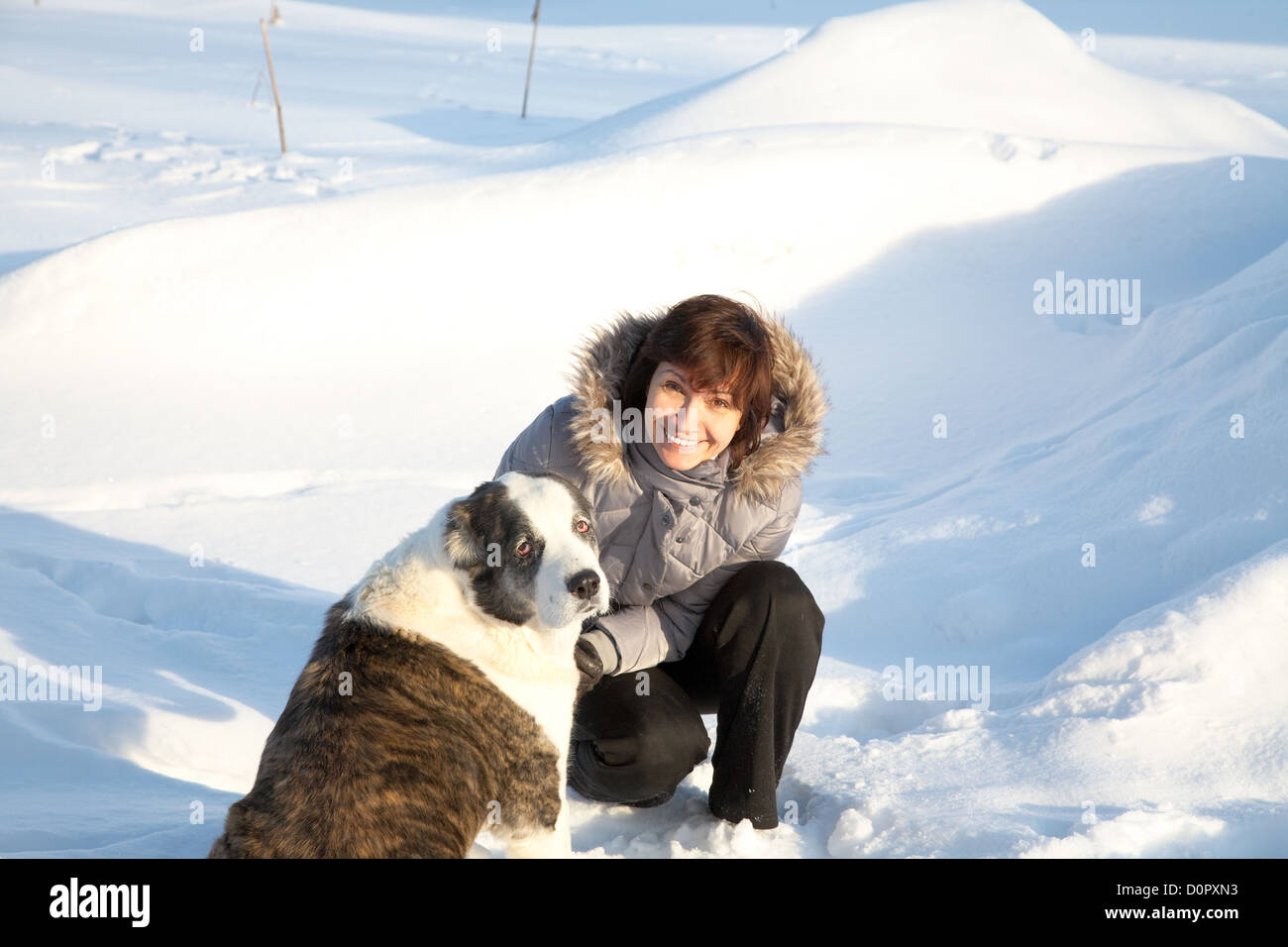 Femme joue avec un chien, dans la journée d'hiver Banque D'Images