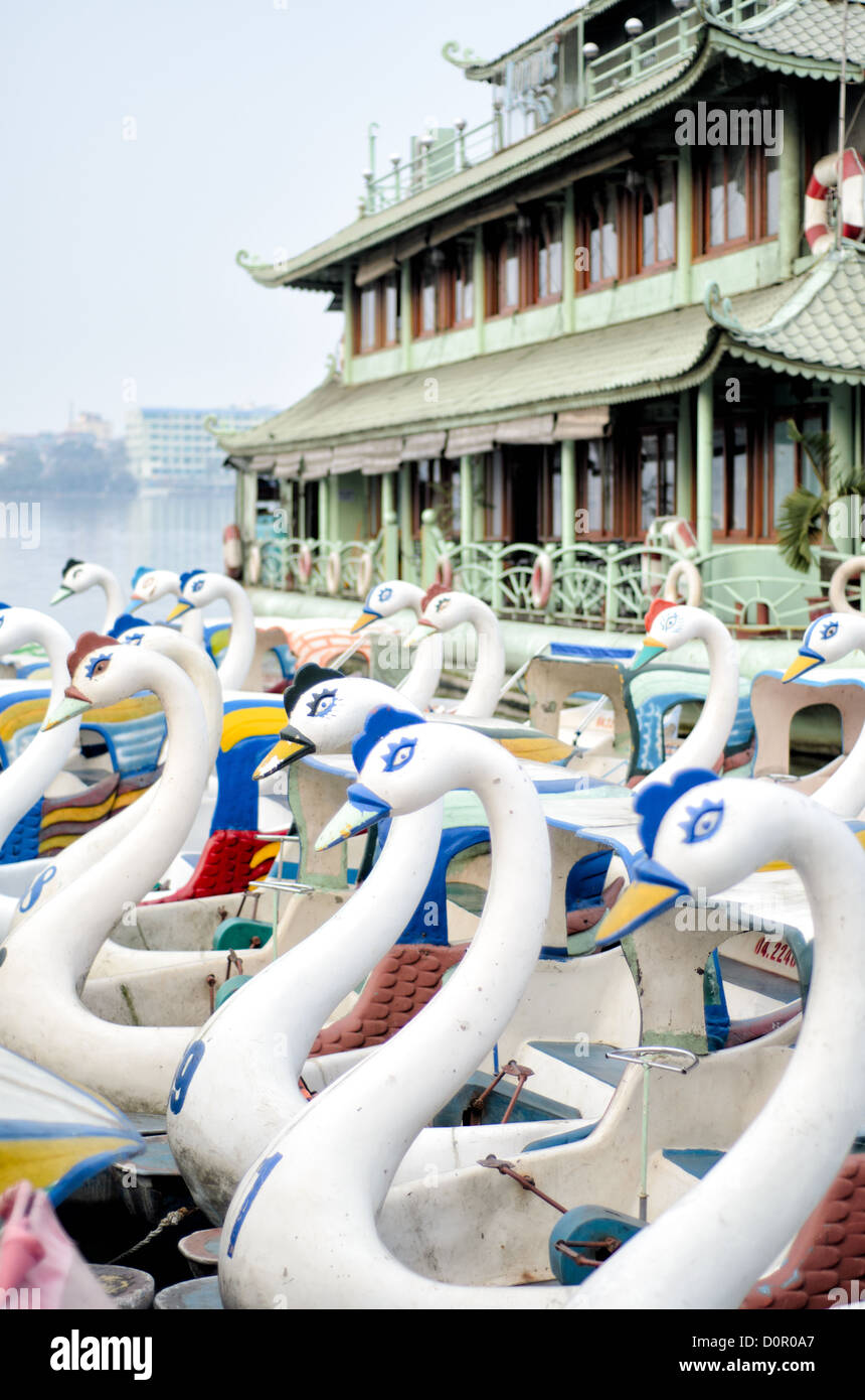 Swan Paddle Boats West Lake Hanoi Vietnam // HANOI, Vietnam — des pédalos en forme de cygnes sont alignés sur le quai du West Lake (Ho Tay) à Hanoi, Vietnam. Banque D'Images