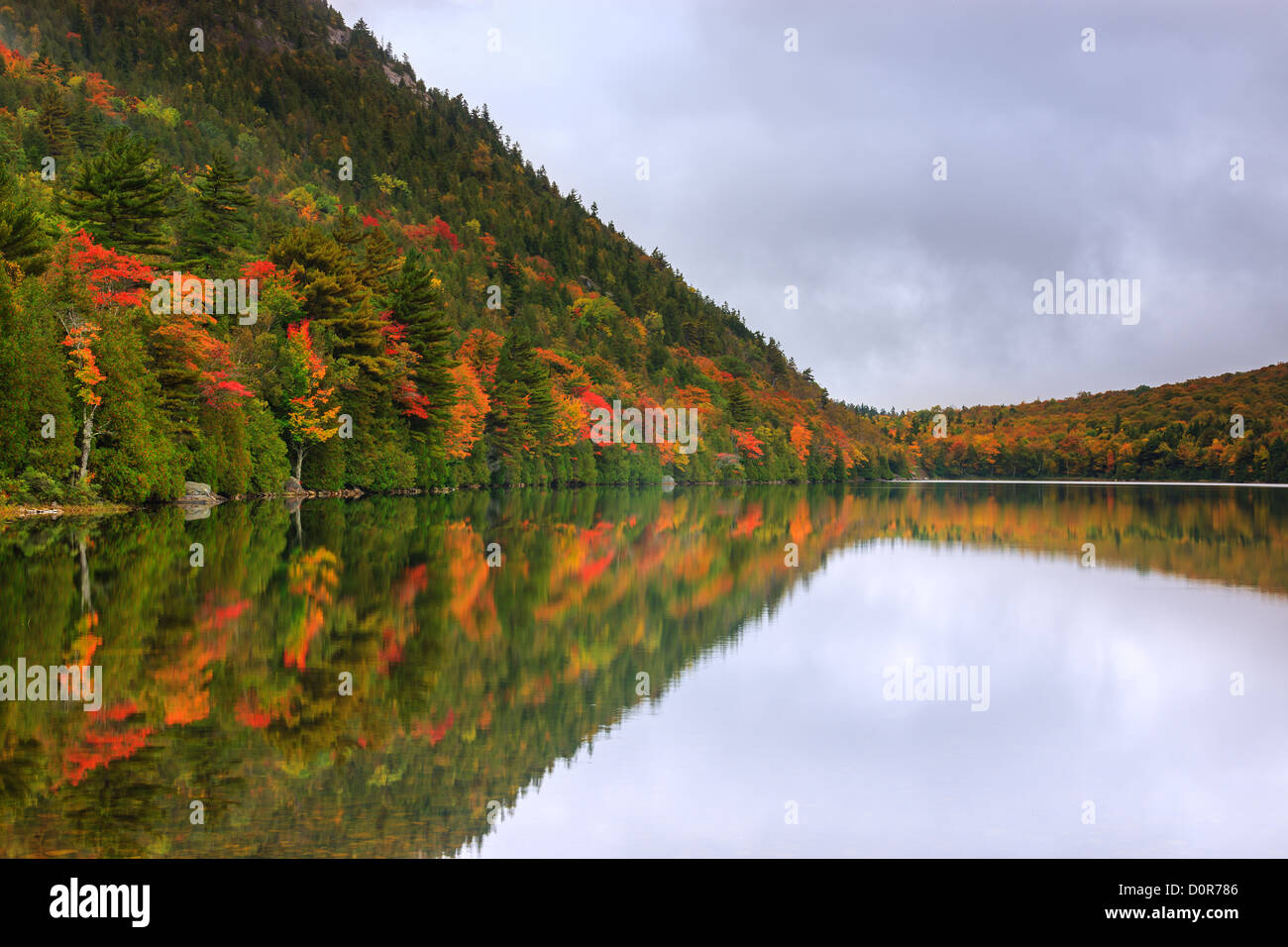 Donnant sur l'étang de la bulle en couleurs d'automne dans l'Acadia National Park, Maine, USA. Banque D'Images