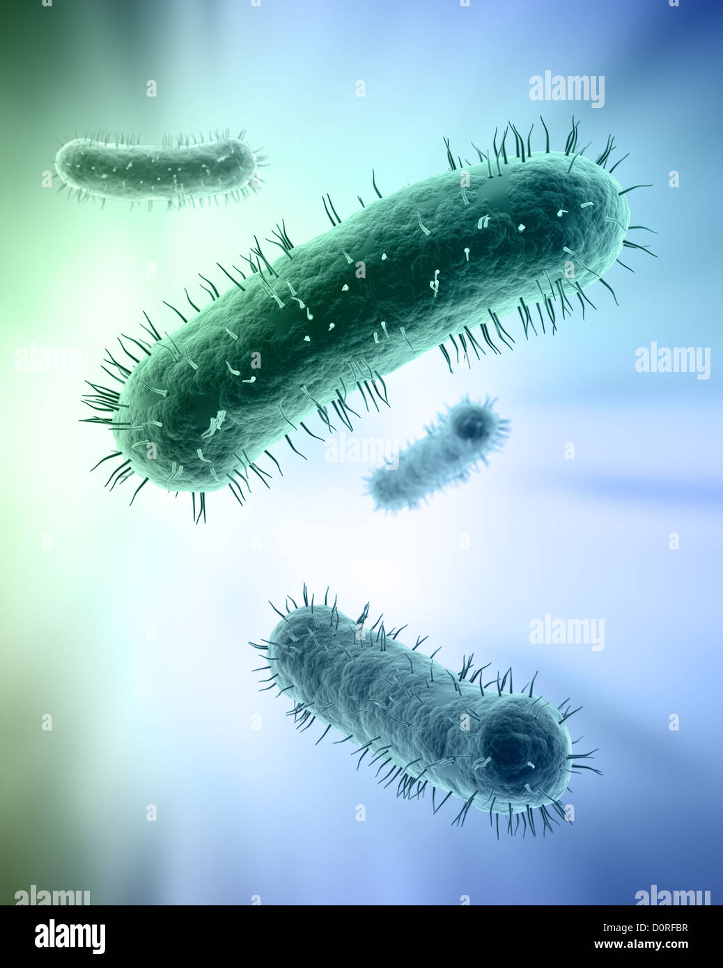 Illustration scientifique de bactéries Banque D'Images