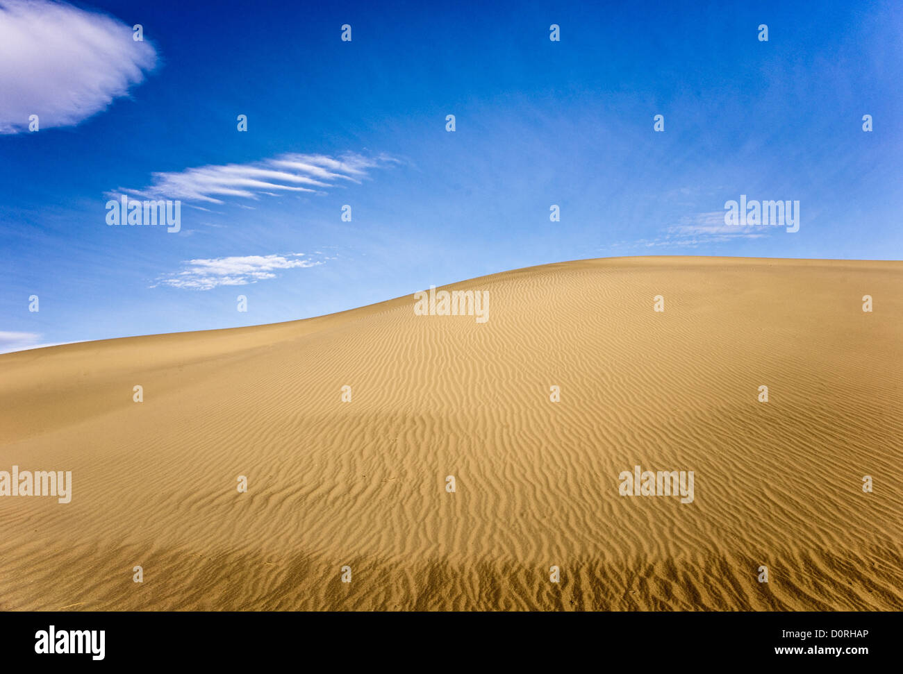 Desert Sand Dune dynamique Banque D'Images