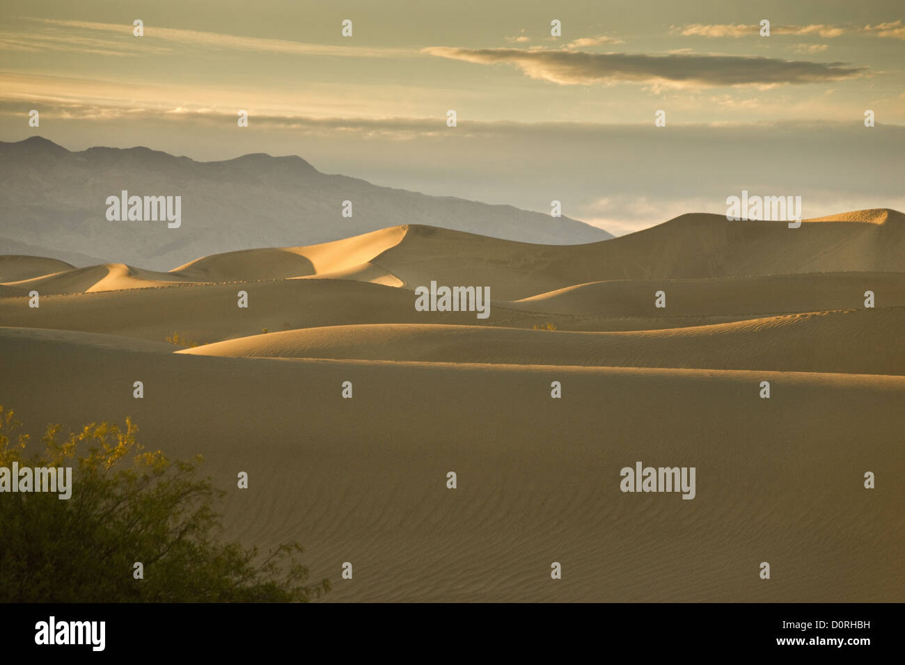 Les dunes de la vallée de la mort Sandscape Banque D'Images