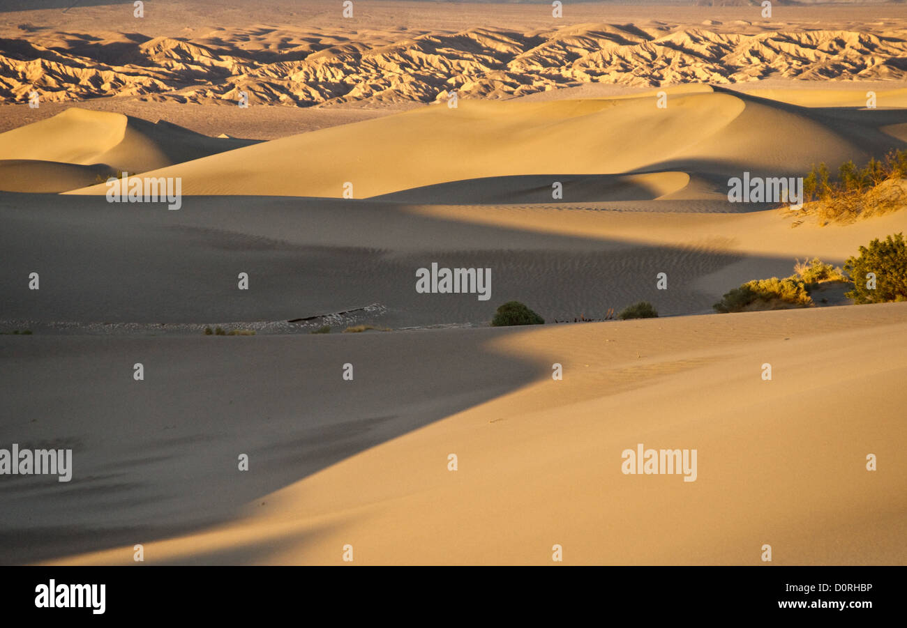 Mesquite Dunes Sandscape Banque D'Images