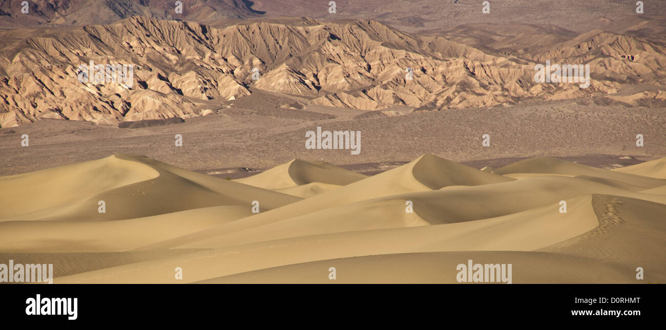 Panorama des Dunes Mesquite Banque D'Images