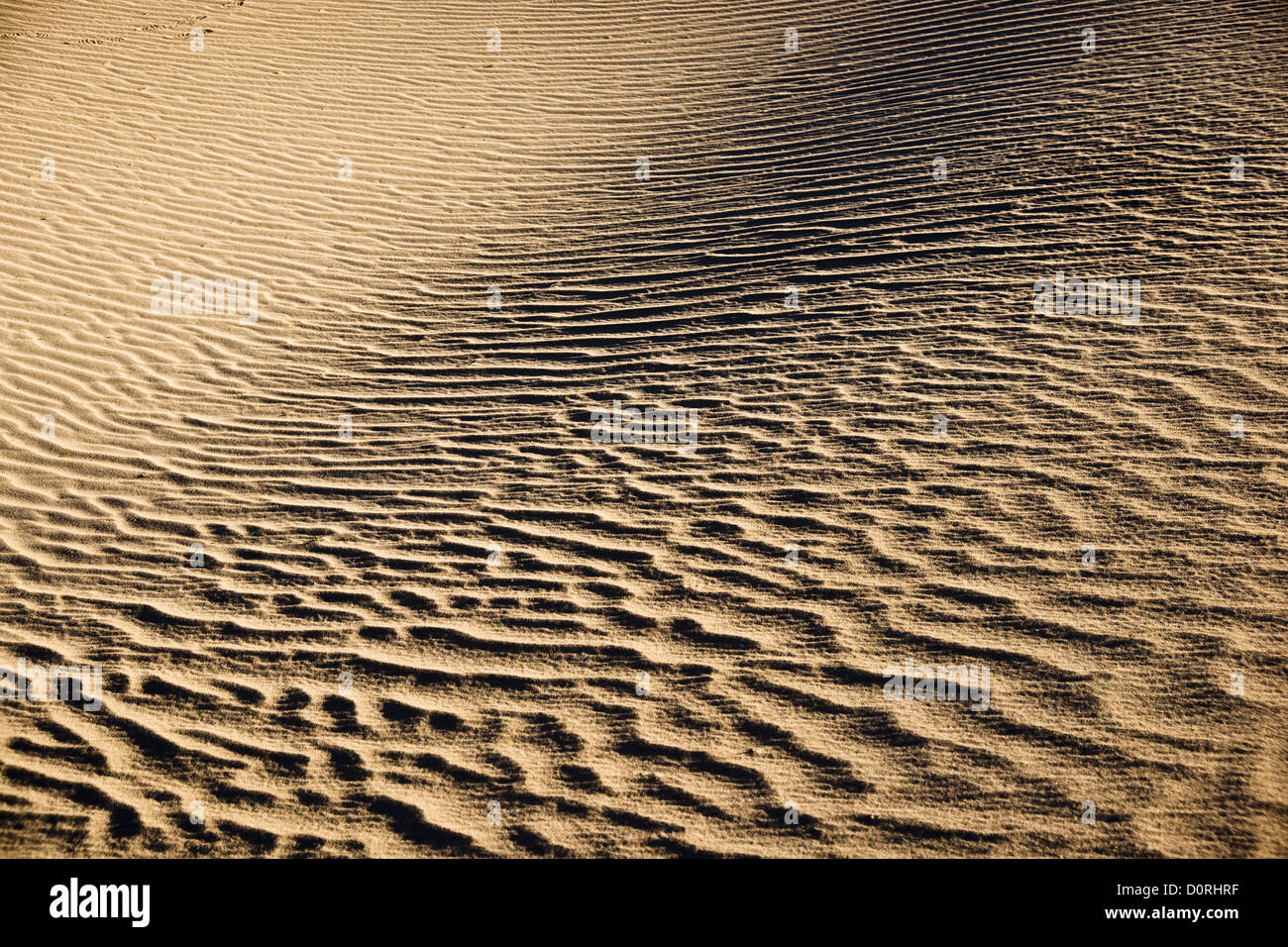 Death Valley Sand Ripples Banque D'Images