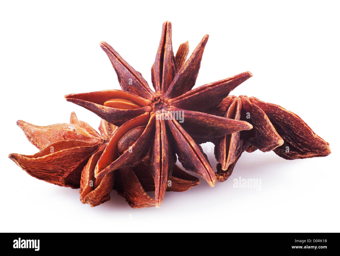 Anis étoilé entier en libre sur fond blanc Banque D'Images