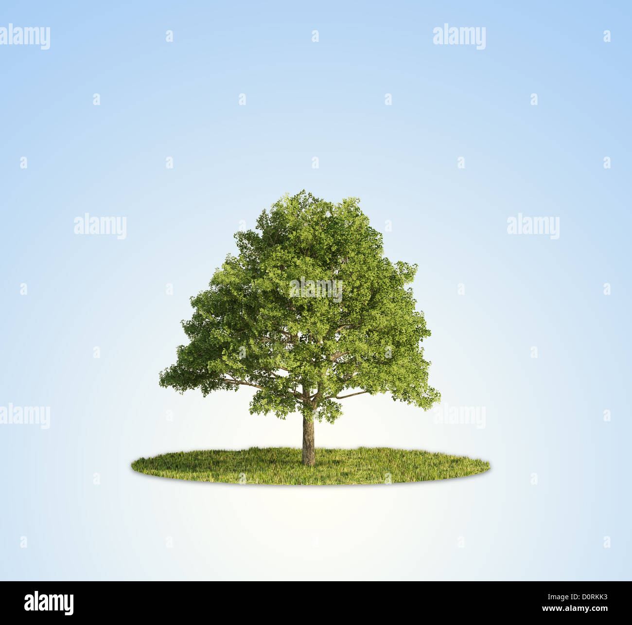Seul arbre Banque D'Images