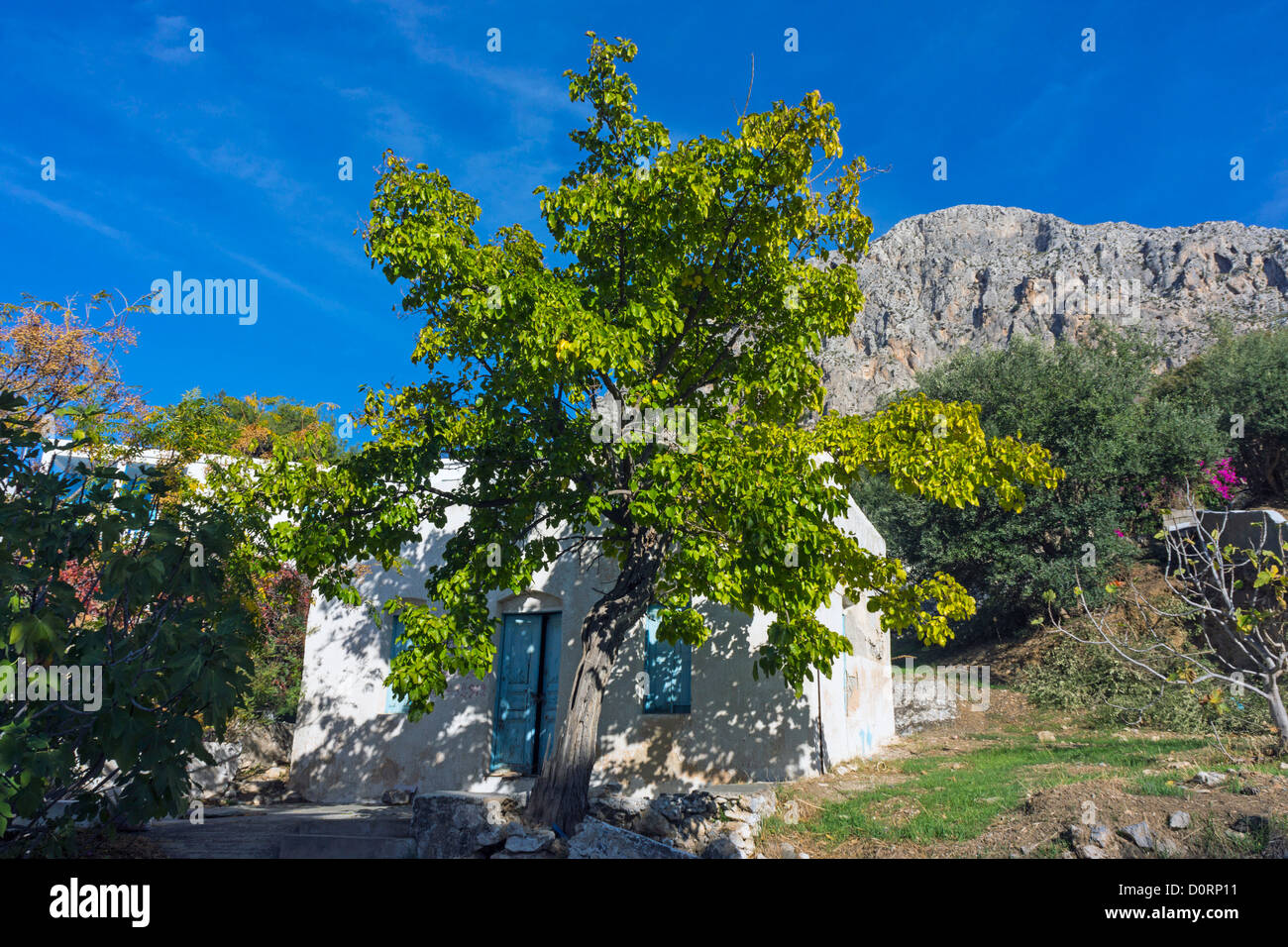 Petite maison grecque blanc aux volets bleus et d'arbres verts, les montagnes derrière Banque D'Images
