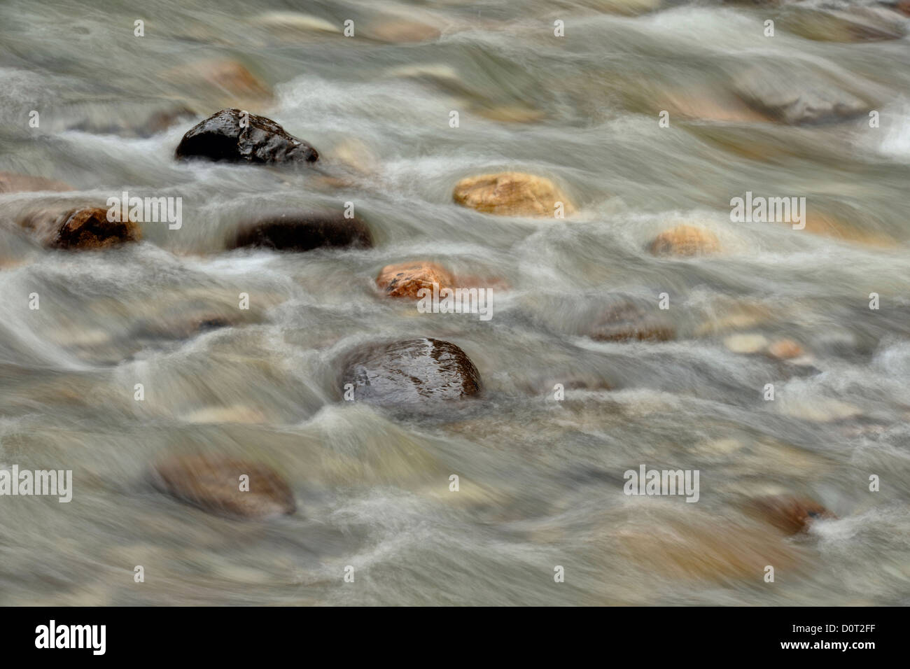 Les rochers et les Rapids dans le ruisseau Mosquito, Banff National Park, Alberta, Canada Banque D'Images