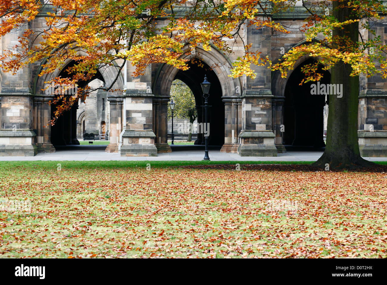 Le quadrilatère de l'Est à l'automne au Campus de l'Université de Glasgow à Glasgow, Écosse, Royaume-Uni Banque D'Images Le quadrilatère de l'Est à l'automne au Campus de l'Université de Glasgow à Glasgow, Écosse, Royaume-Uni Banque D'Images