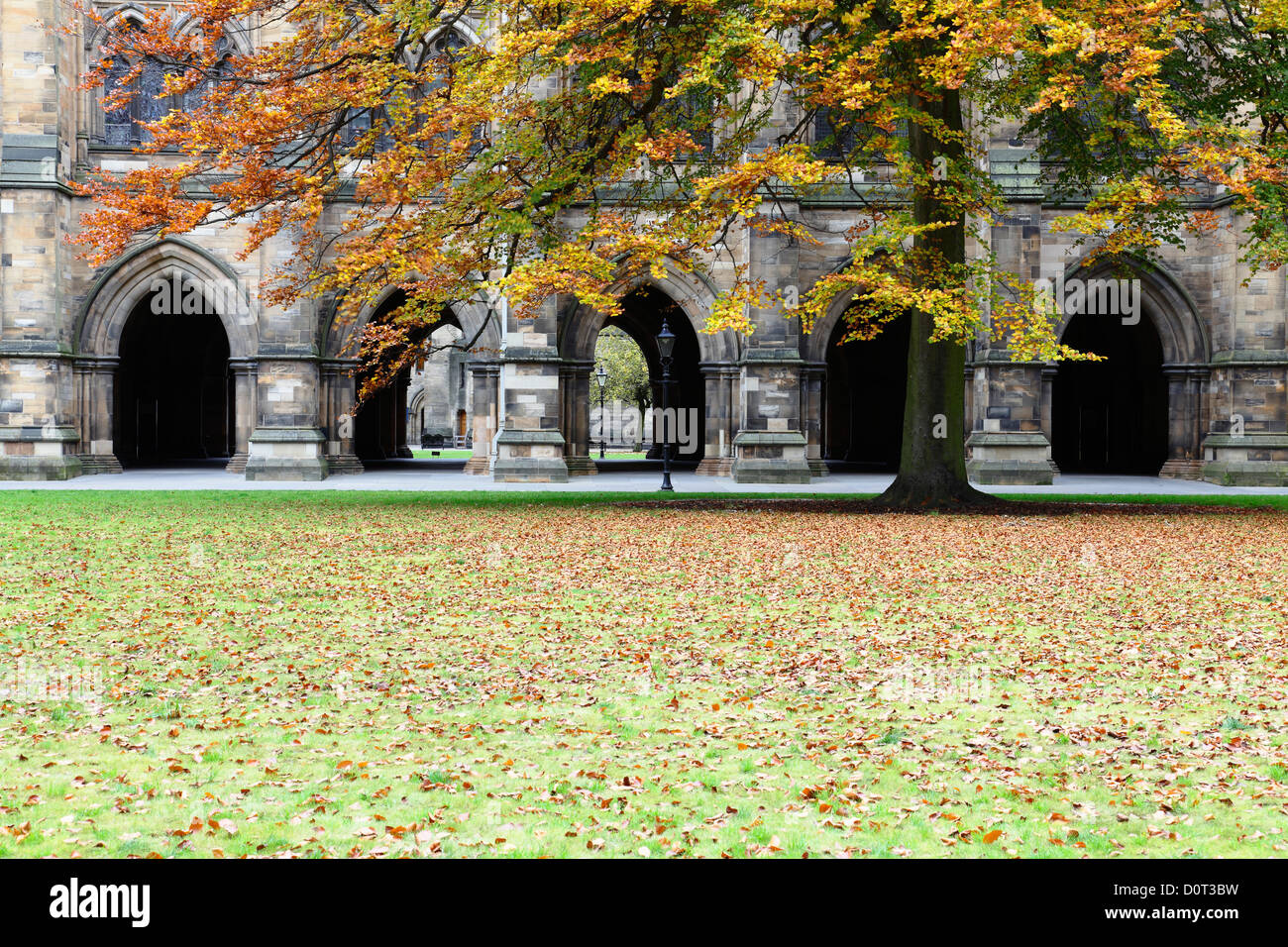 Le quadrilatère de l'Est à l'automne à l'Université de Glasgow sur Campus Gilmorehill à Glasgow, Écosse, Royaume-Uni Banque D'Images Le quadrilatère de l'Est à l'automne à l'Université de Glasgow sur Campus Gilmorehill à Glasgow, Écosse, Royaume-Uni Banque D'Images