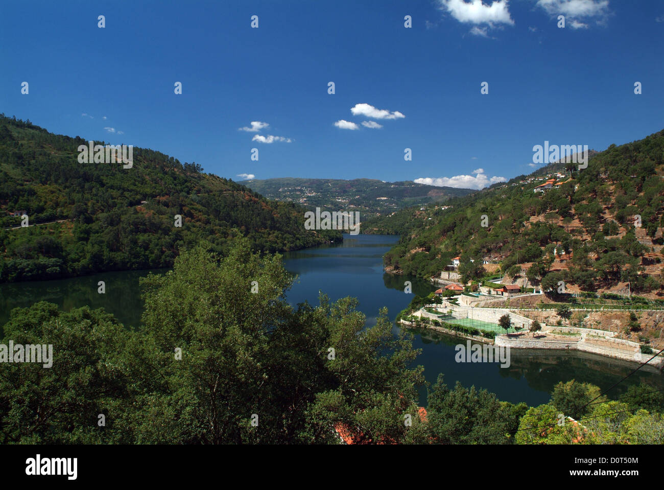 Beau Vin de pays de la vallée du Haut Douro, Portugal Banque D'Images