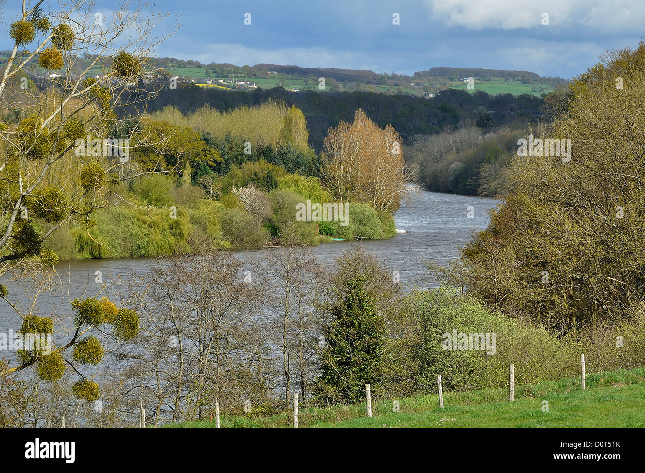 Rivière La Mayenne avec rives boisées en avril (au nord de la Mayenne, Pays de la Loire, France, Europe). Banque D'Images