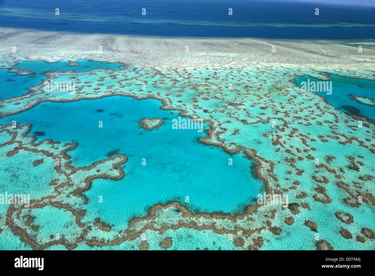 Coeur de corail, Hardy Reef, Grande Barrière de Corail, la nature, l'hélicoptère, Queensland, Australie, vol, Whitsunday Islands, Reef, d'ab Banque D'Images