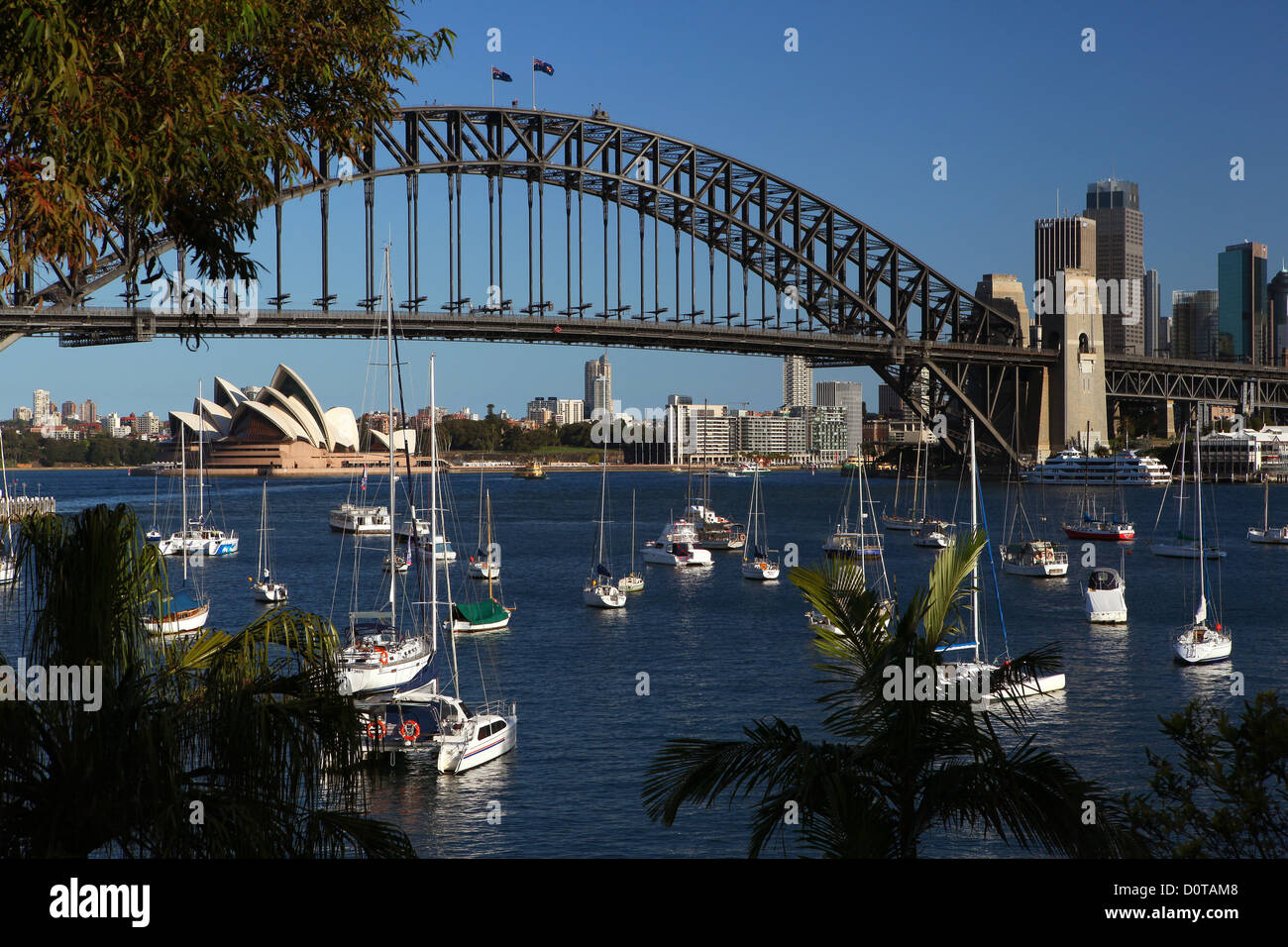 Lavender Bay, Sydney Harbour Bridge, opus, opéra, opéra, pont, Port, port, l'eau, ciel bleu, soleil, mettez en surbrillance, p Banque D'Images