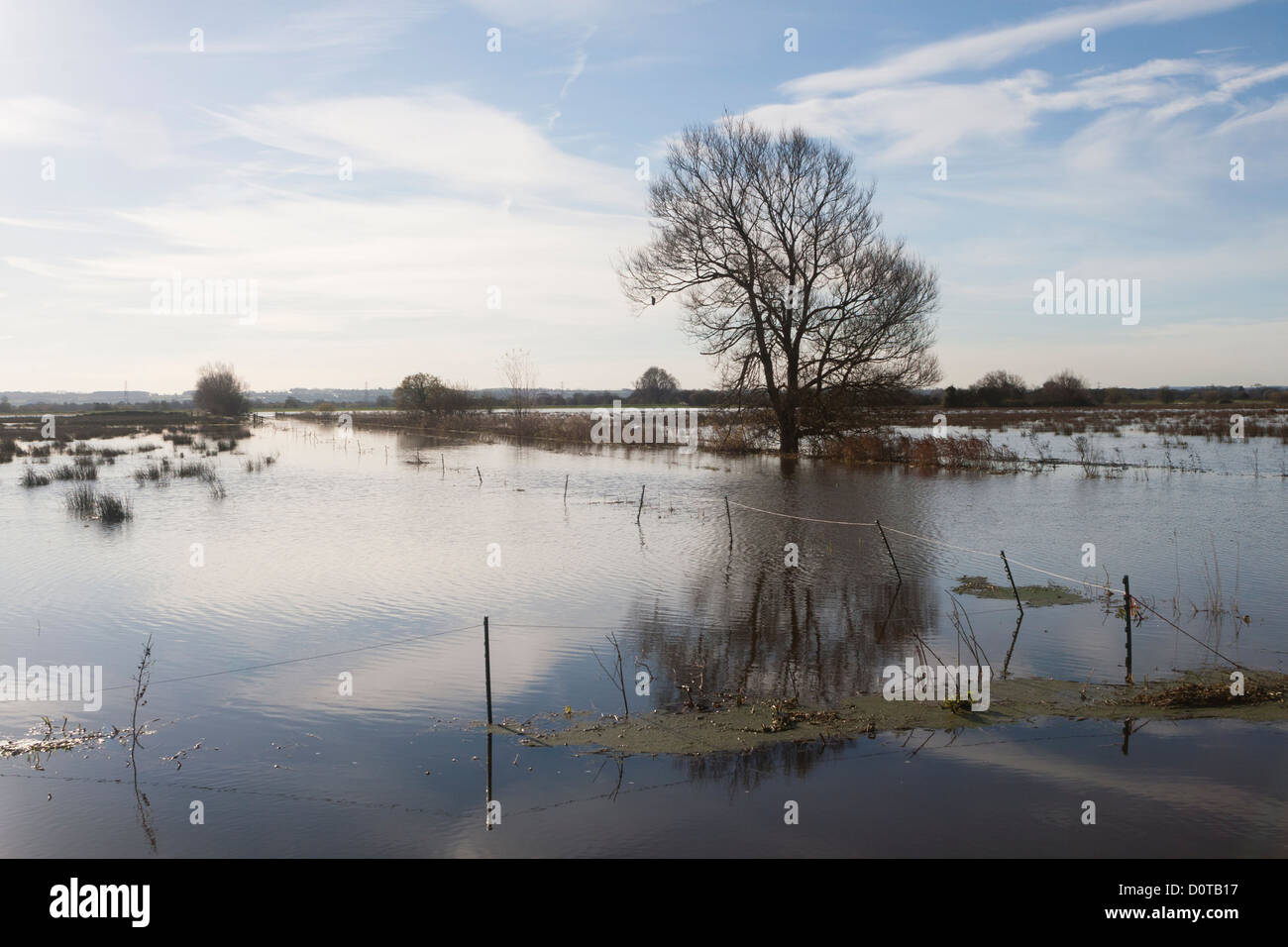 Les terres agricoles inondées sur les niveaux de Somerset, 2012 Inondations Banque D'Images