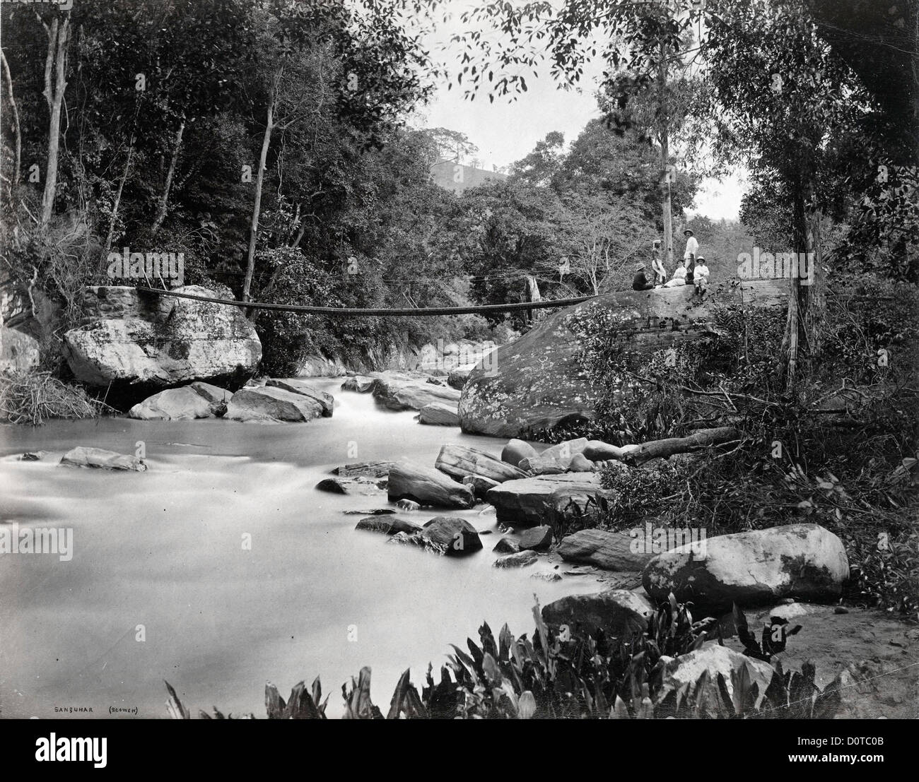 Sanquhar Estate, Pussellawa, Ceylan, ca 1880, par Charles Scowen & Co Banque D'Images