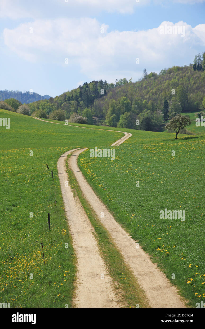 La nature, l'Agriculture, de l'Europe, suisse, Bâle-Campagne, chemin, voie à suivre, Meadow, tranquille, Rural, Paysage, Panoramique, printemps, N Banque D'Images